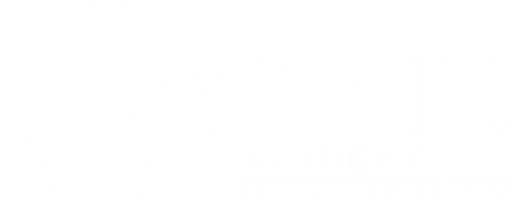 African Leadership Organization